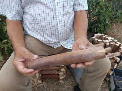Ogni sgabello richiede circa 6 ore di lavoro. �Una volta a casa, con un seghetto a mano taglio il fusto in parti uguali per ottenere dei pezzi della stessa lunghezza�, ci dice il signore mostrandoci un perfetto tronchetto ottenuto dopo la prima parte di lavoro